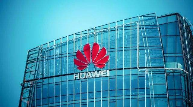 沈志坤律师,非法集资,股权